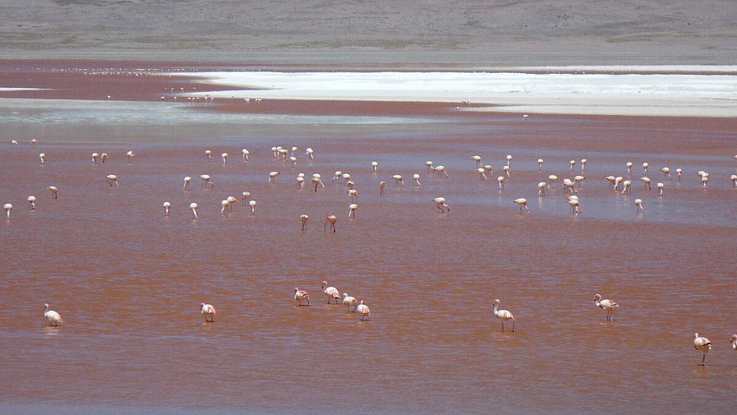 bolivia, cile e un po' di argentina