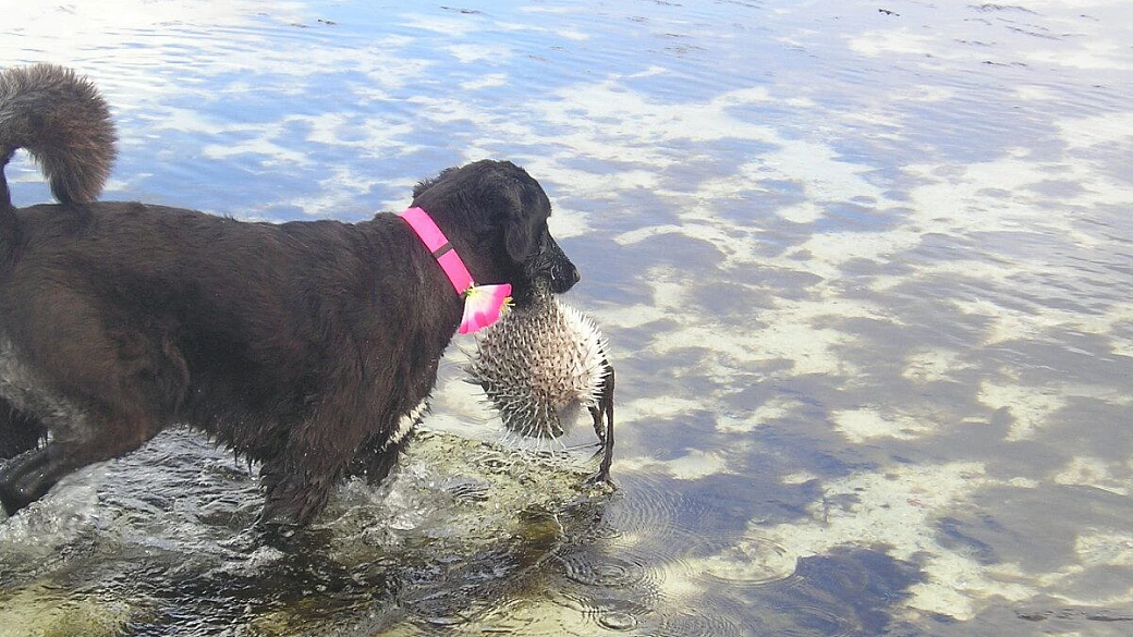 new york e polinesia un viaggio indimenticabile