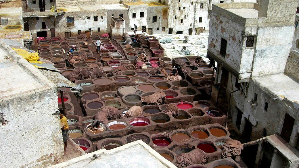 gazelles o femmes de sarkosi?