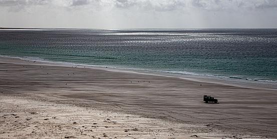 neck beach - saunders island - falkland