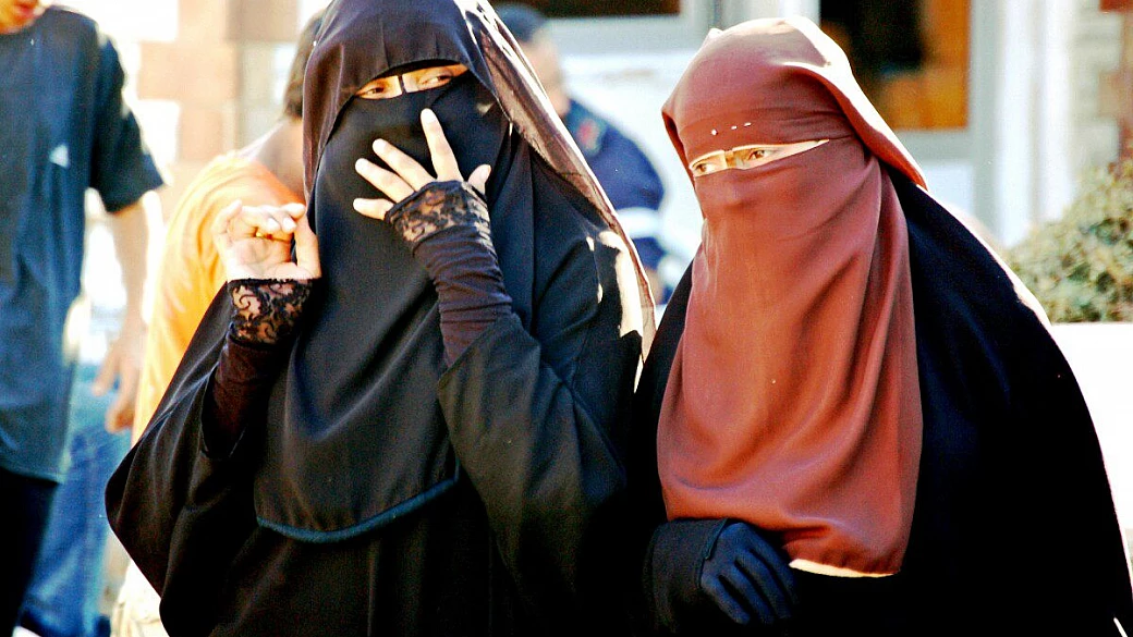 marsa alam elphistone 5