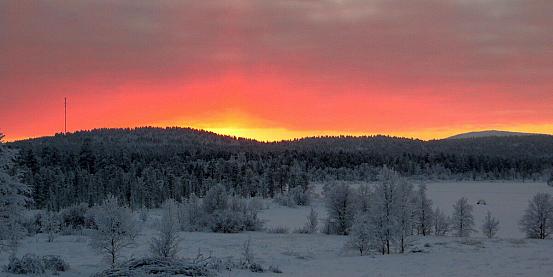 Husky e aurora boreale: Ivalo e Lapponia a febbraio