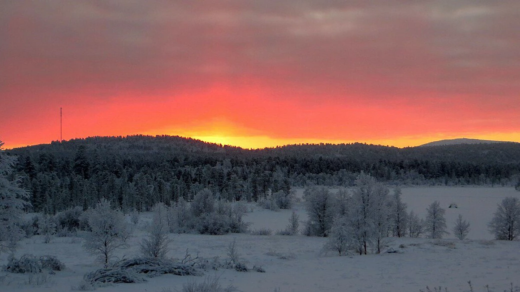 husky e aurora boreale: ivalo e lapponia a febbraio