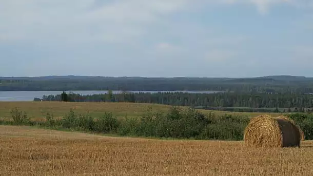 finlandia, natura al 100 per cento