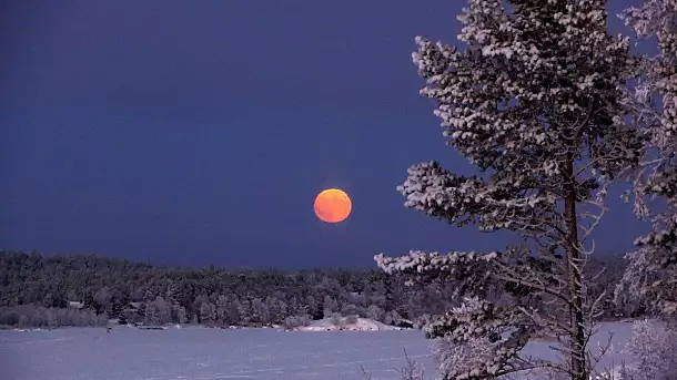 finlandia in inverno per l'aurora boreale
