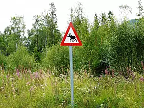 fiordi-norvegesi-bxnuj