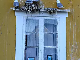 fiordi-norvegesi-qcbrh