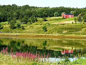 fiordi-norvegesi-t7s1u