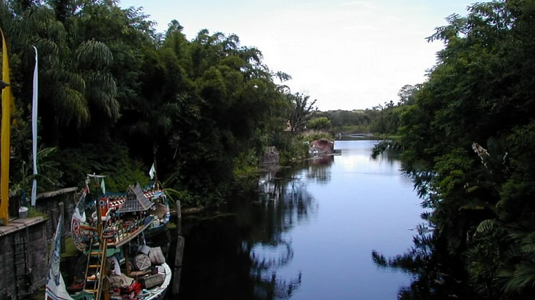 florida e disneyworld 29 aprile 8 maggio 2010