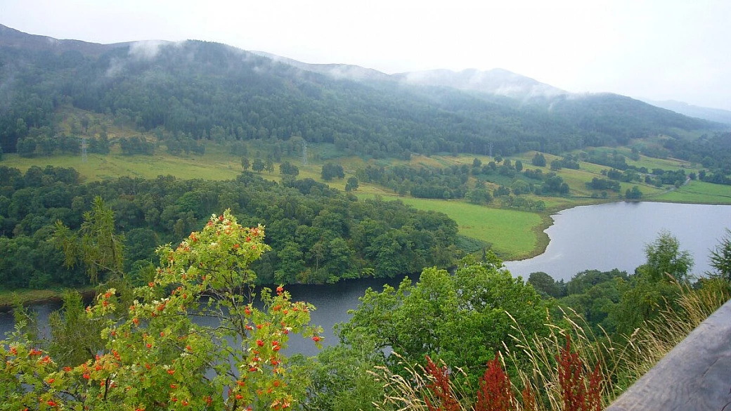 tre cuori e un igloo