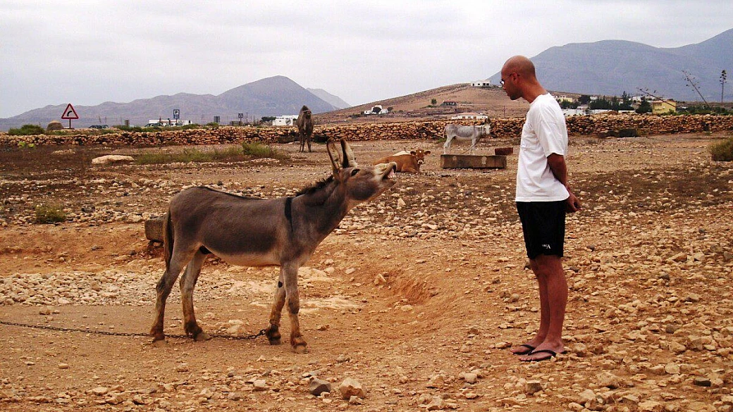 thc trip: the heavy català trip