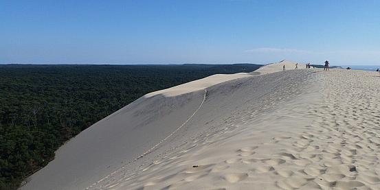 dune 11