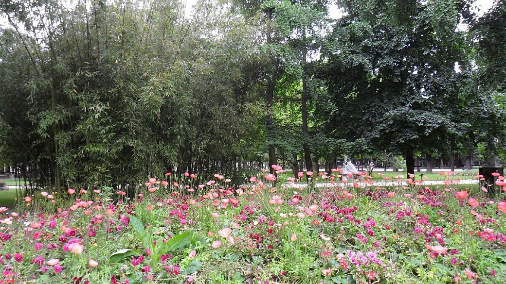 alla scoperta dei vulcani dell'auvergne