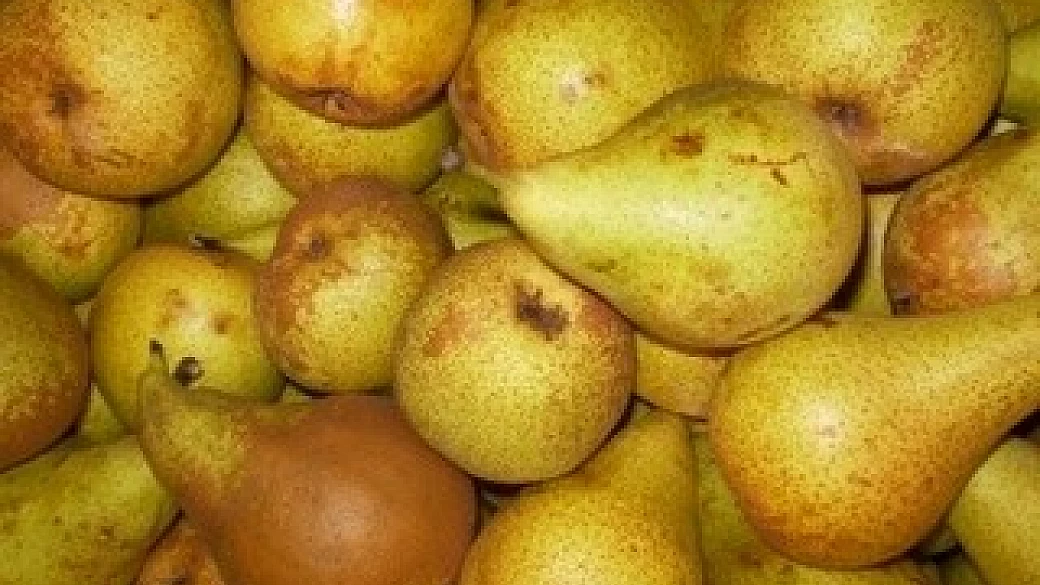 tatin di pere salata