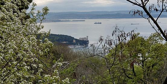 Passeggiata con vista sul Golfo di Trieste