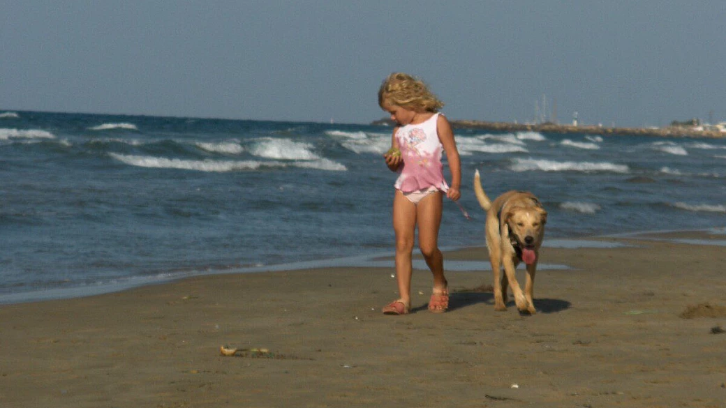 creta: attenti ai cre... ni