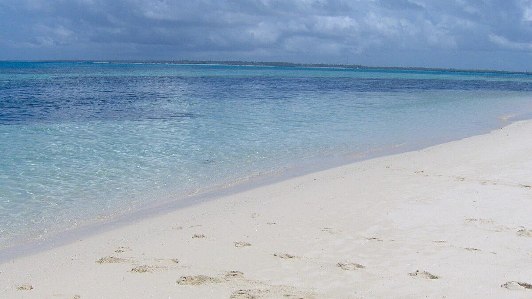 solo volo ?!?! si grazie !