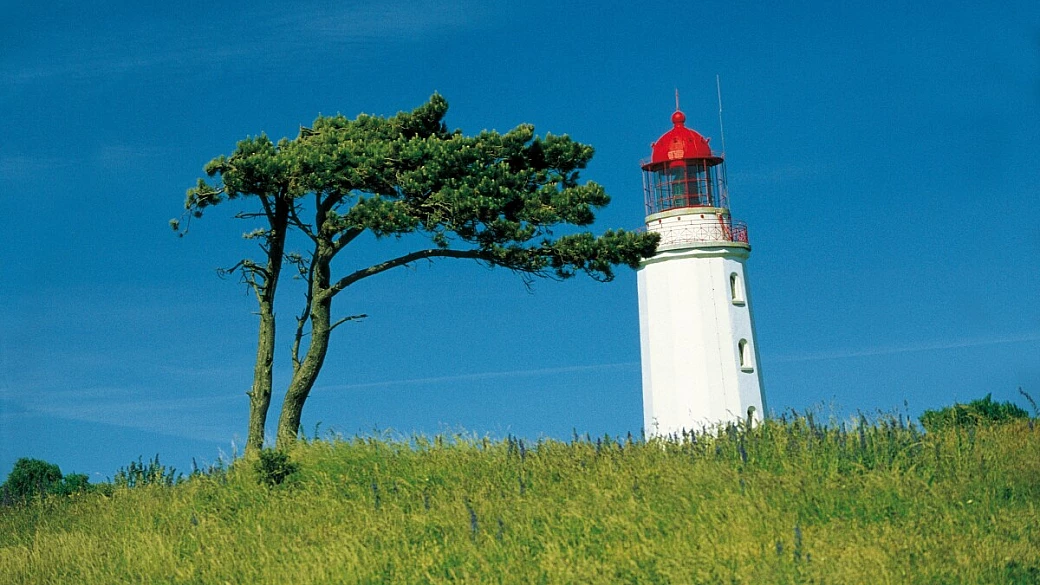 <a href=http://eas8.emediate.eu/eas?camp=149768;ty=ct rel=nofollow noopener target=_blank>la germania del nord</a>