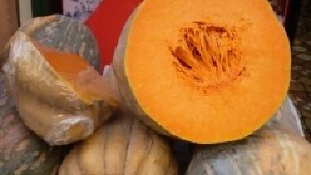 crema di zucca