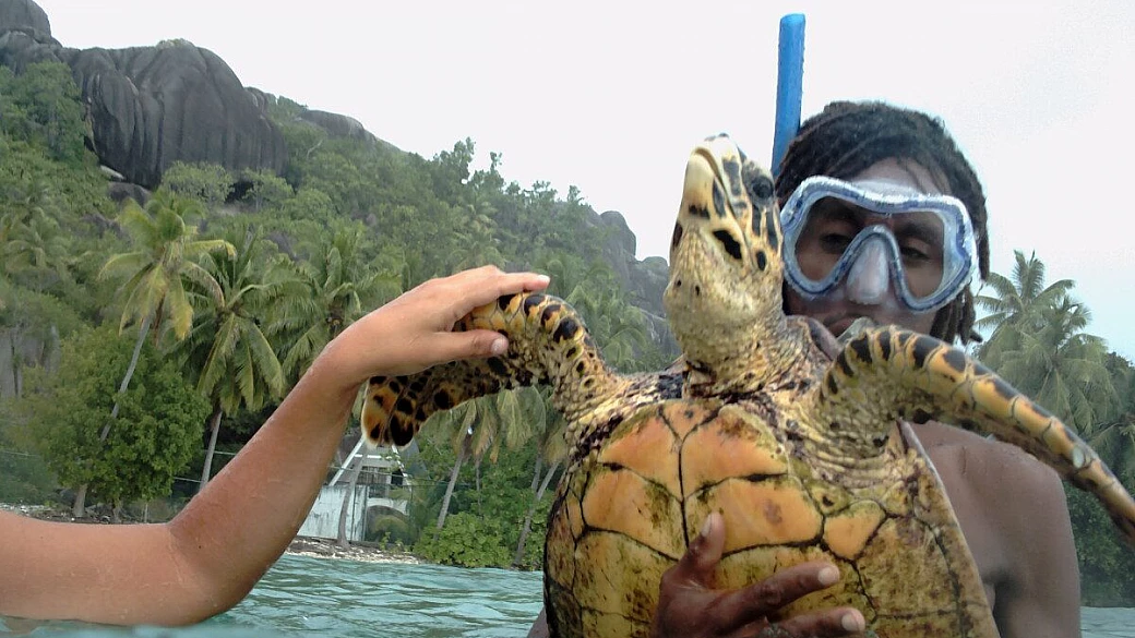 turisti, rispettate le seychelles!