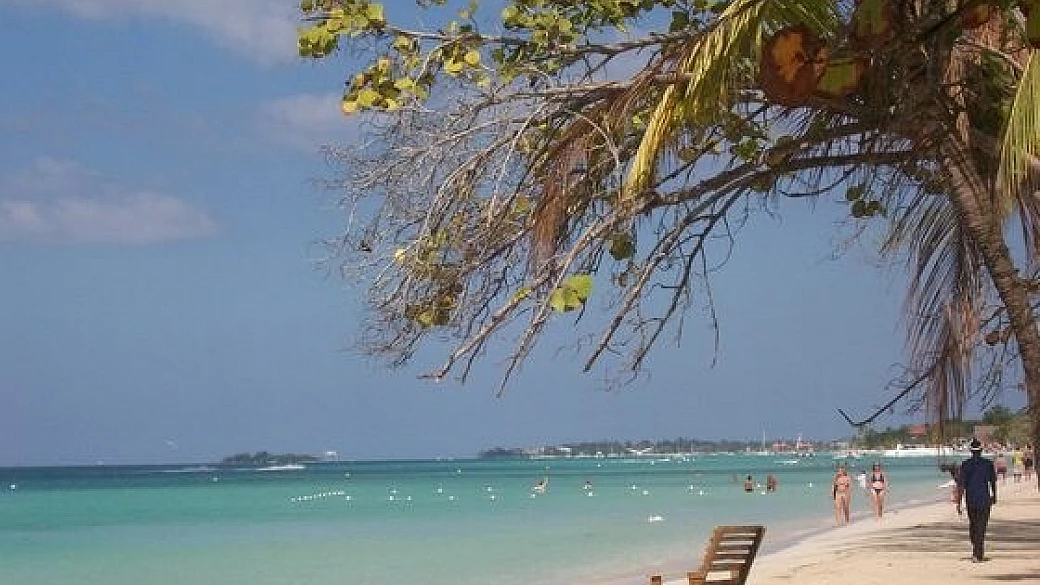 dalla jamaica agli states