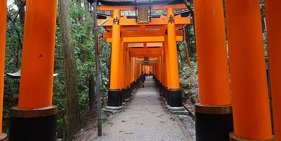 Fushimi Inari, un sogno giapponese tra fortuna e natura