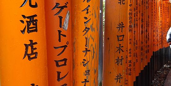 Fushimi Inari un sogno giapponese tra fortuna e natura 15