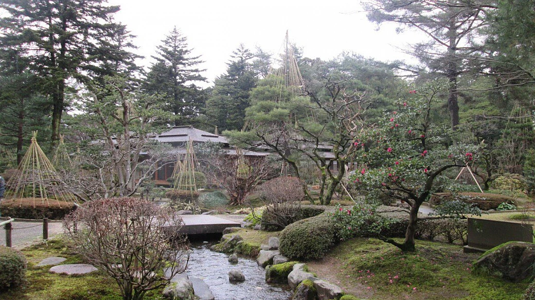 viaggio di laurea in giappone