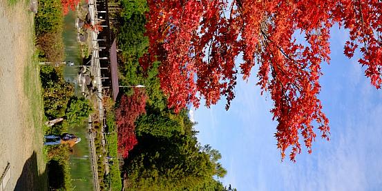 I colori dell'autunno in Giappone, viaggio di 3 settimane di con auto e treno