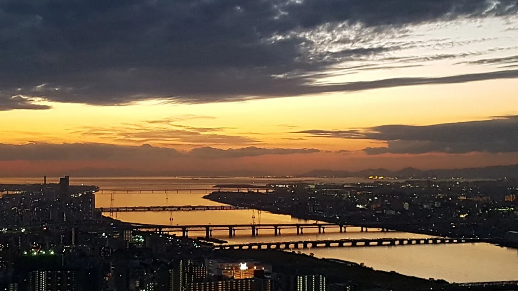 foglie rosse in giappone