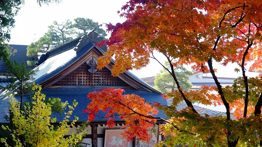 i colori dell'autunno in giappone, viaggio di 3 settimane di con auto e treno