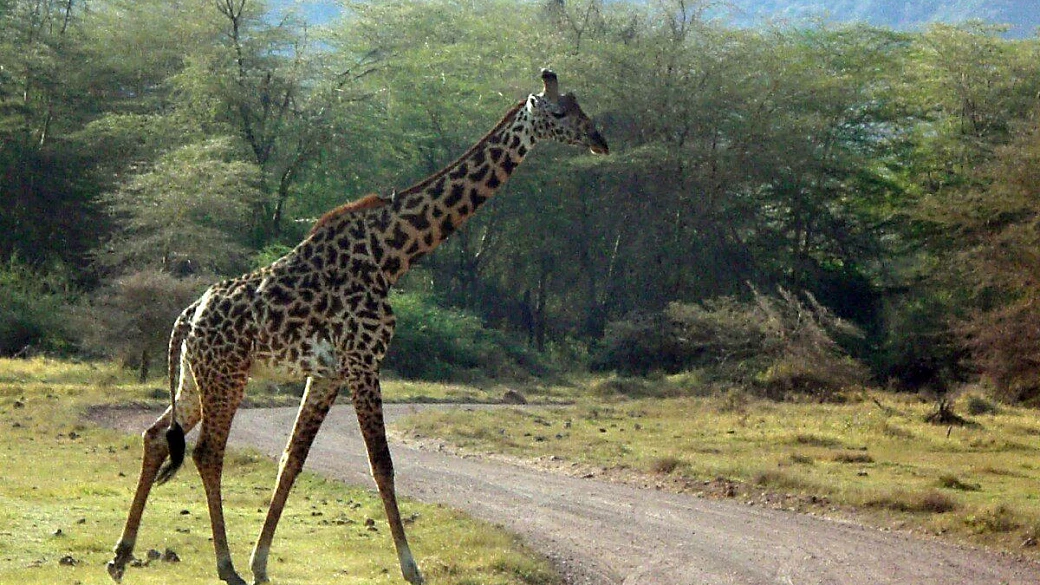 zanzibar: un paradiso da sogno