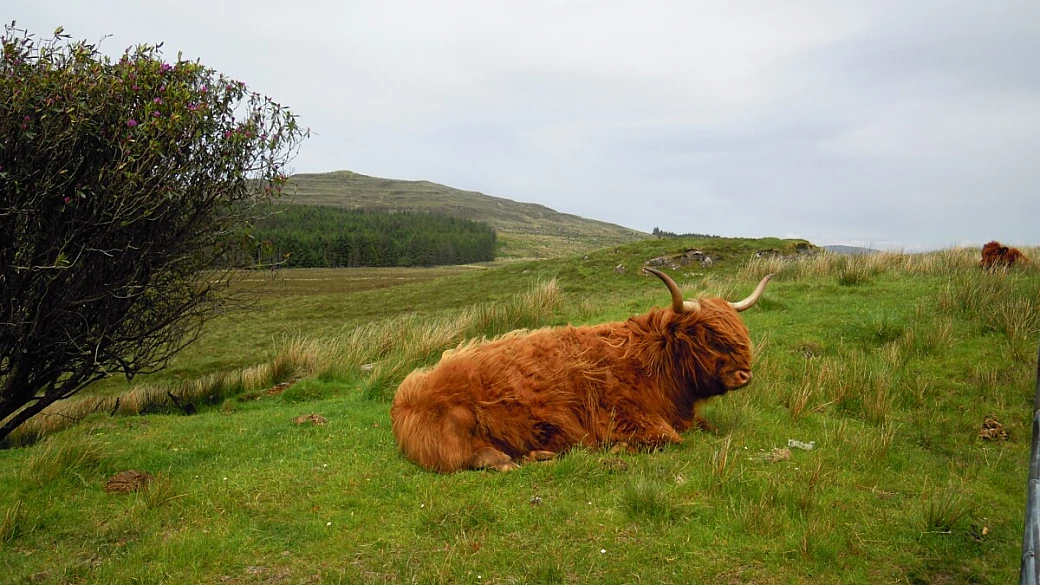 in scozia... per isole e castelli