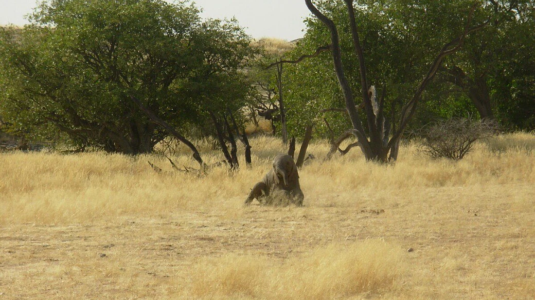 namibia a 360 gradi!