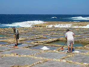 raccolta del sale  isola di gozo malta