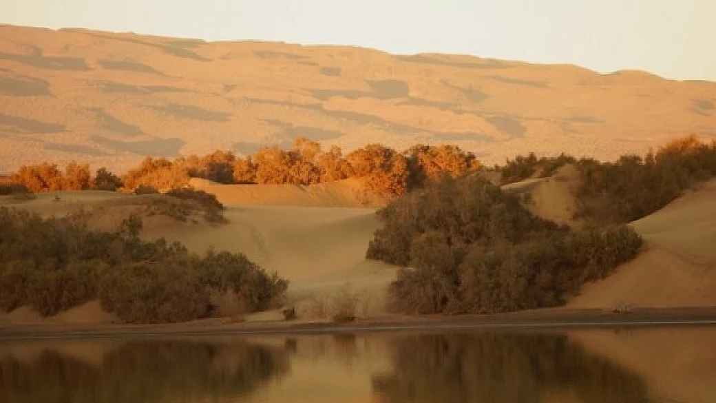 vacanze a gran canaria