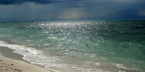 bahamas -  grand bahama - fortune beach