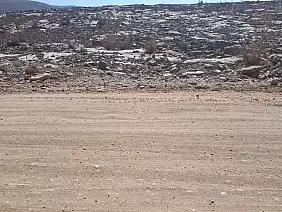 grand-canyon-natura-r5c8a