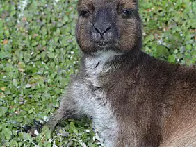 great-ocean-road-38eb8