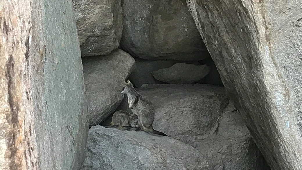 viaggio nella ventosa australia
