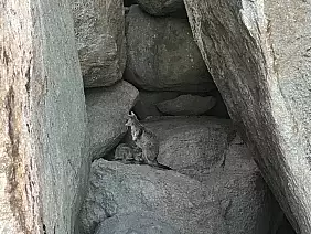 great-ocean-road-5amdy