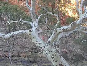 great-ocean-road-722uw