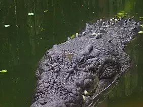 great-ocean-road-wzrpe