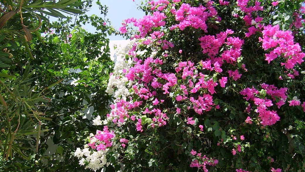 karpathos: la grecia che non ti aspetti