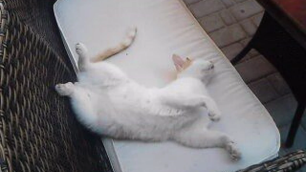 grecia, isola di karpathos