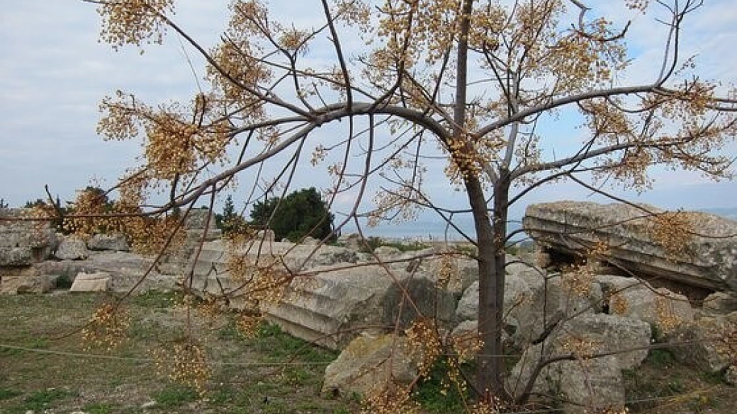 grecia classica in inverno