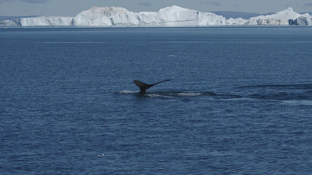 viaggio in groenlandia con la famiglia