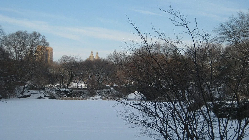 dal maine alla grande mela