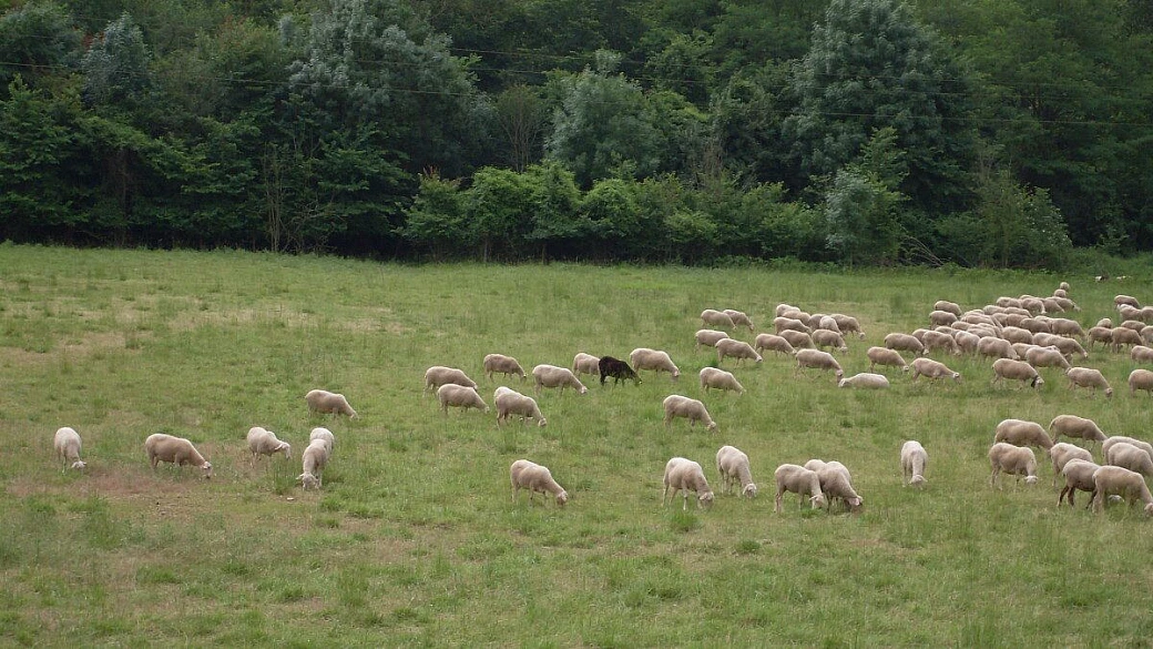 spagna che passione: santander