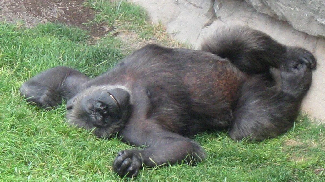 valencia madrid zaragoza